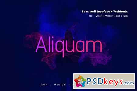 Aliquam - Modern Typeface + WebFonts