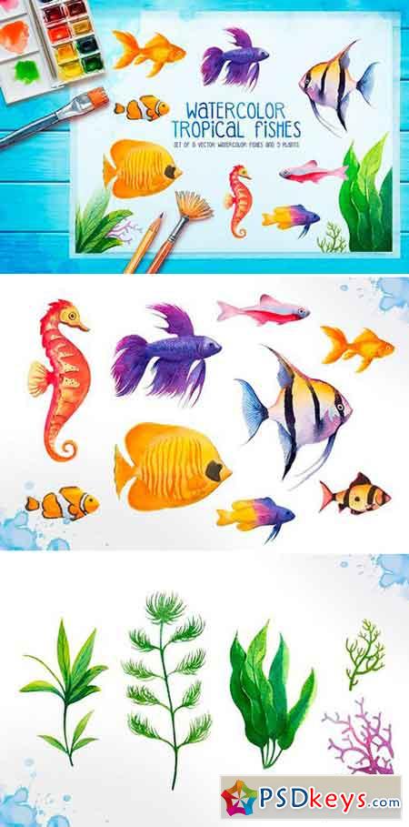 Aquarium fishes Watercolor 977531