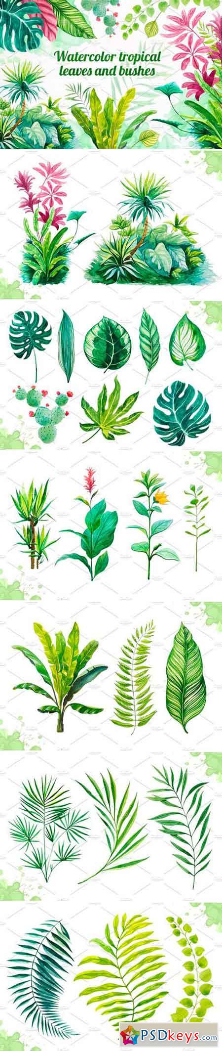 Watercolor tropical leaves set#2 713604