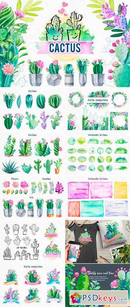 Cactus Watercolor illustrations 2554336