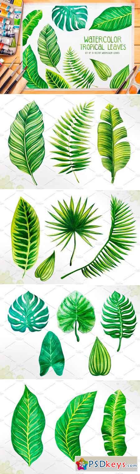 Tropical leaves Watercolor vector 640277