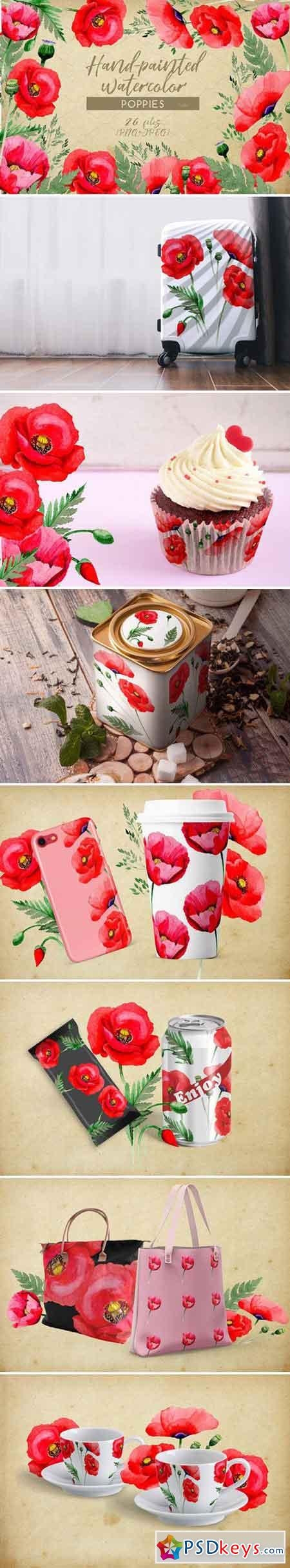 Hand-painted poppies PNG watercolor 2544287