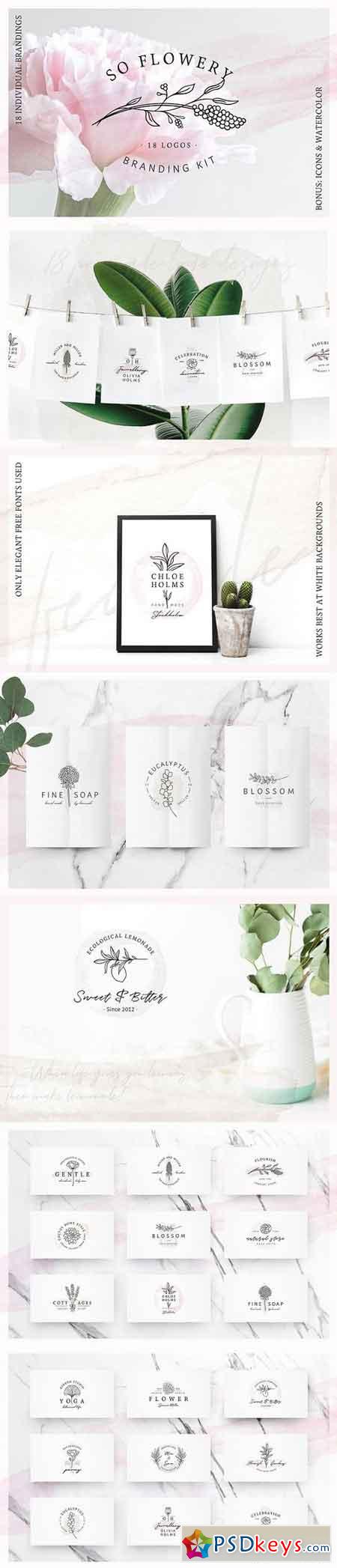 So Flowery Branding Kit+Watercolours 2311711