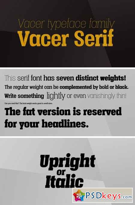 Vacer Serif Font Family - 14 Fonts
