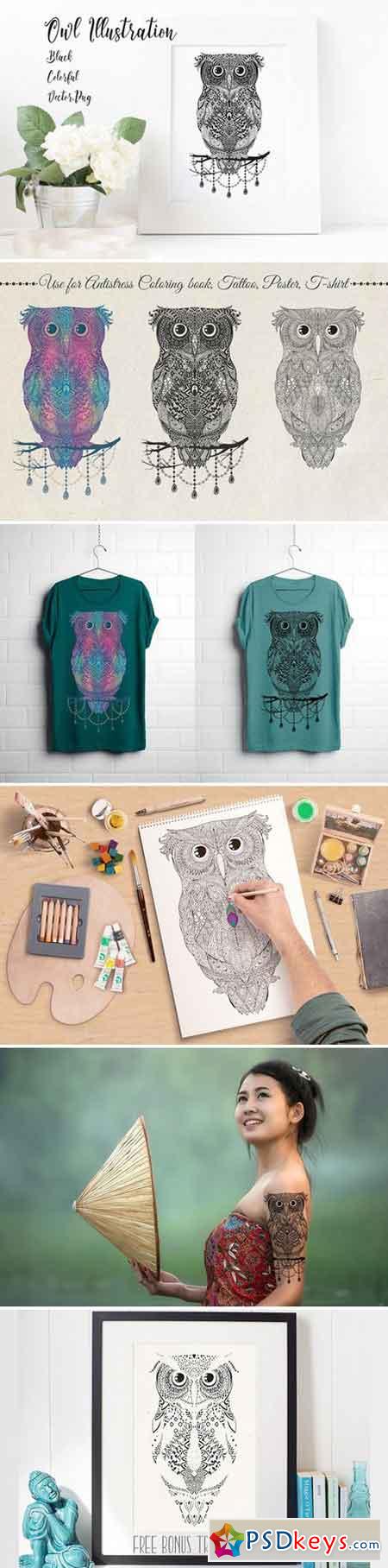 Owl Illustration Black & Colorful 1353039