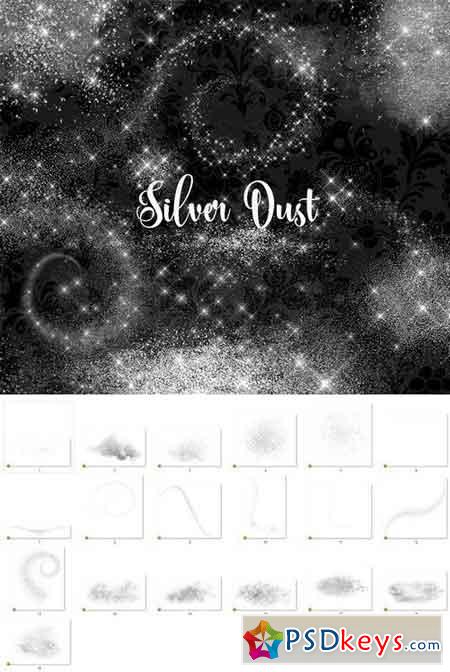 Silver Dust Overlays 2122417
