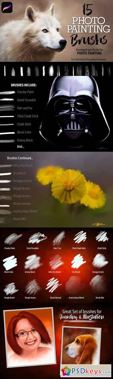 15 Photo Painting Brushes 2735307