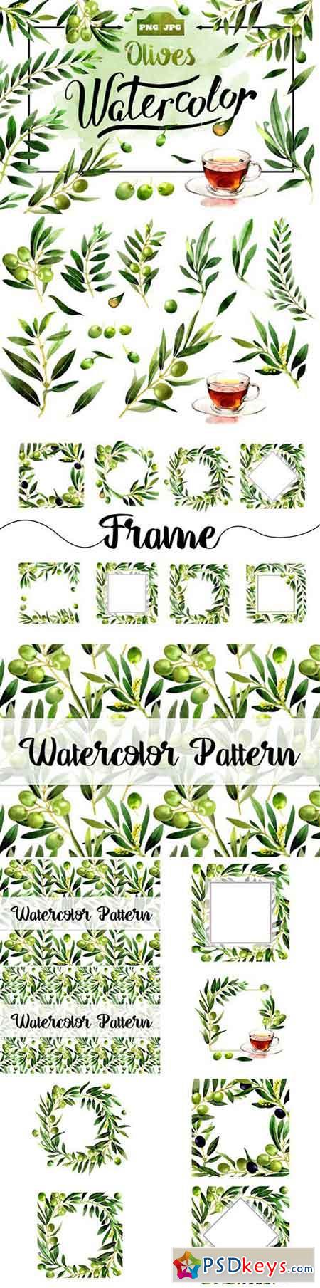 Olives watercolor PNG clipart