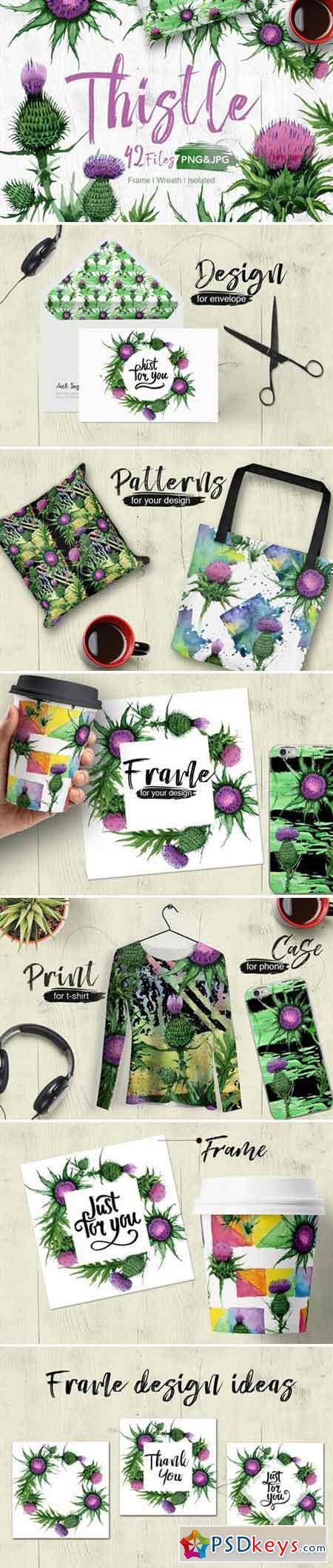 Thistle flowers PNG watercolor set