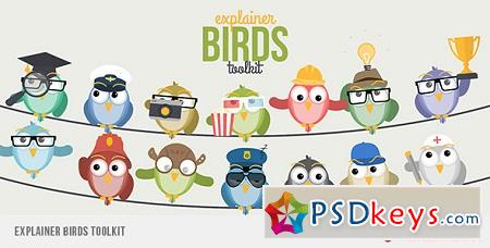 Explainer Birds Toolkit 11365647 After Effects Template