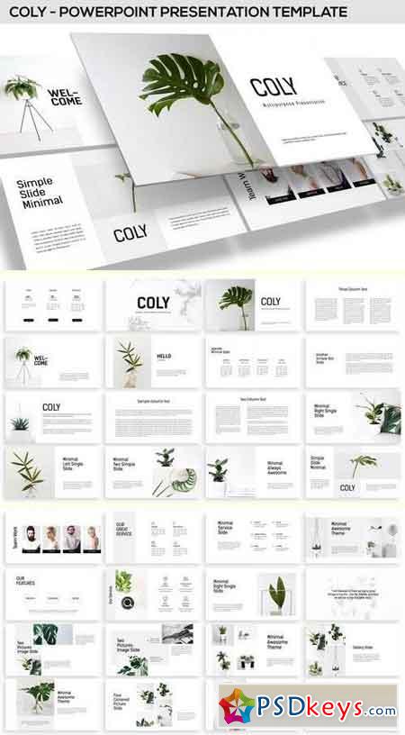 Coly - Powerpoint Template