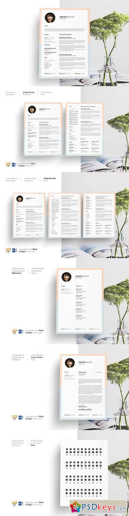 Resume Template CV Template 5 Page 2708932