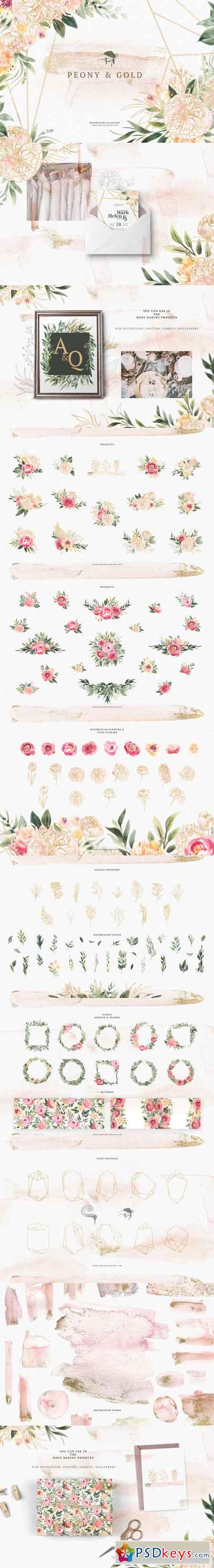 Watercolor Peony & Gold 3485989