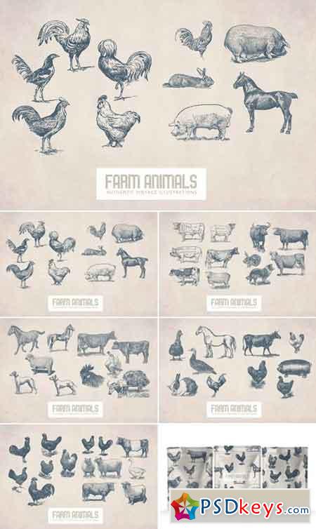 55 Vintage Farm Animals 2893591