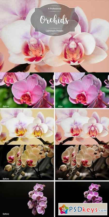 Orchids Lr Presets 2942880