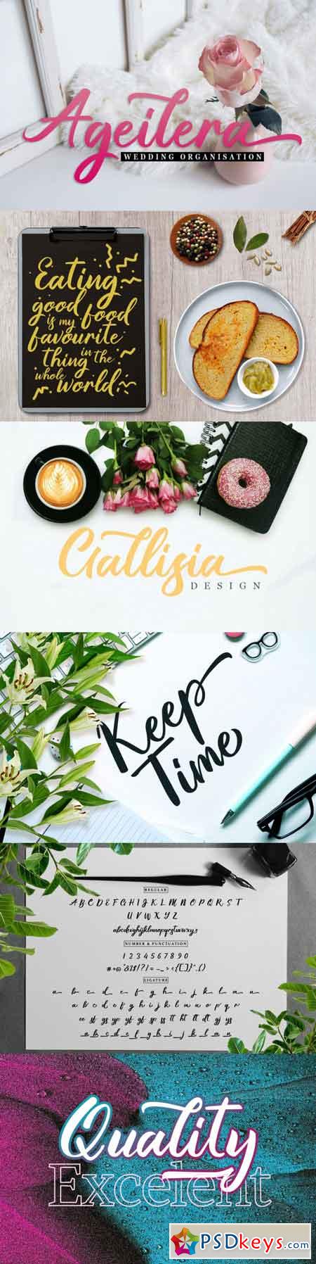 Gallisia Design Script 3488902