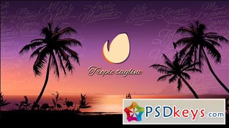 Tropical Sunset Opener 20618426 After Effects Template