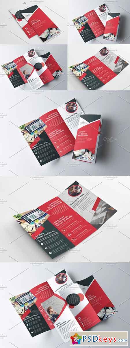 Tri Fold Multipurpose Brochure 2848348