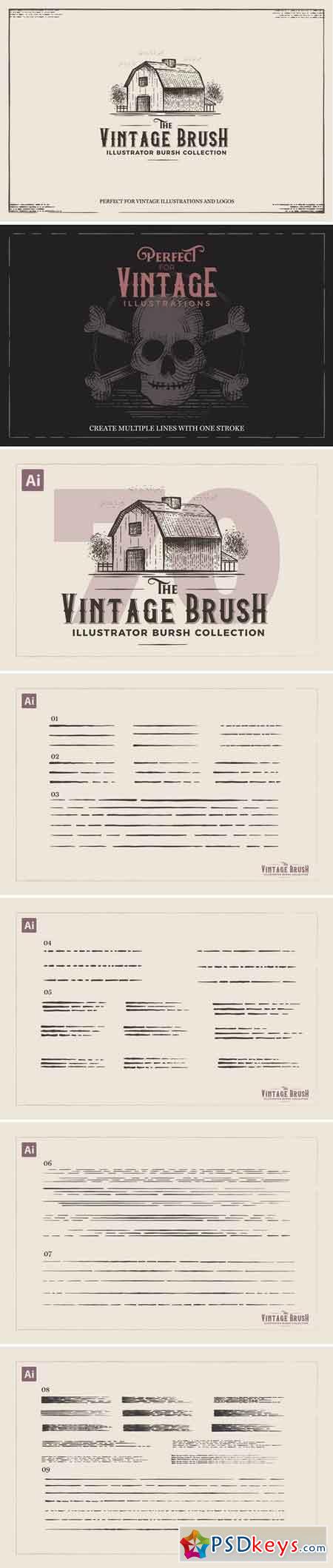 Vintage Illustrator Brushes 3087342