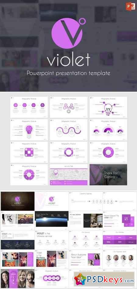 Violet - Powerpoint, Keynote, Google Sliders Templates