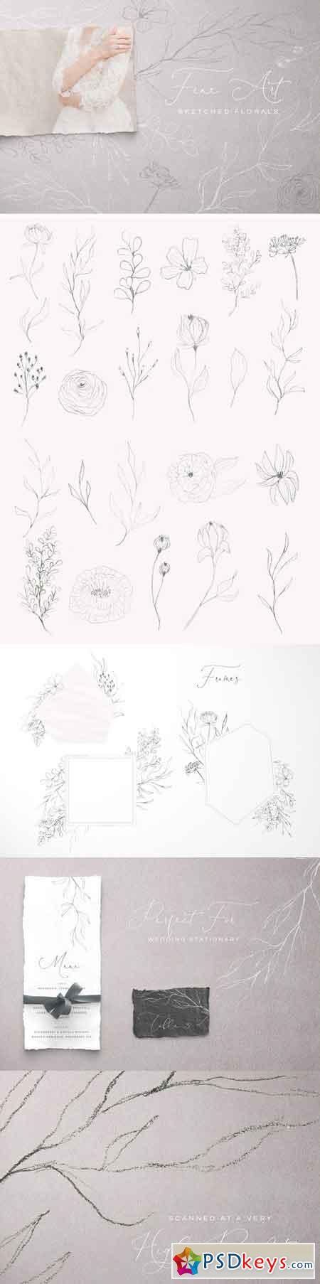 Fine Art Sketched Florals 3156472