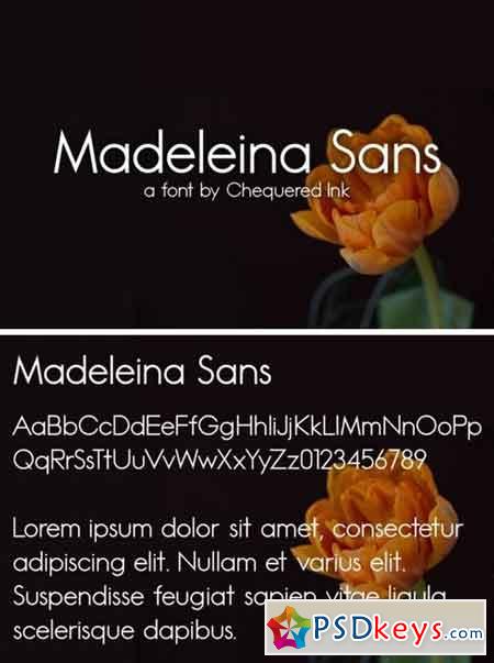 Madeleina Font