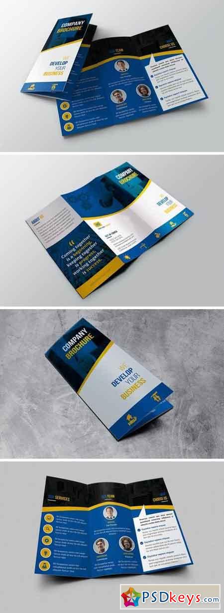 Company Trifold Brochure
