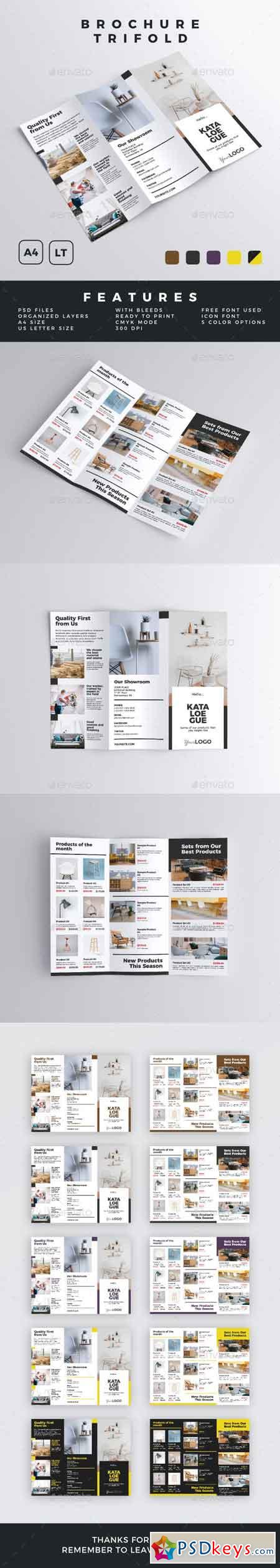 Brochure - Trifold 22878094