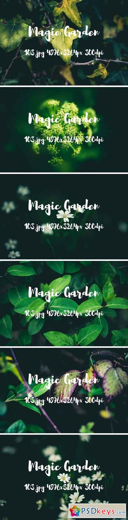 Magic garden pack 2482487