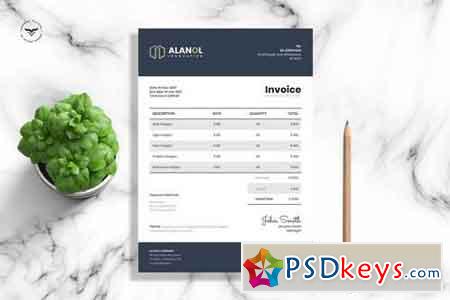 Professional Invoice Template