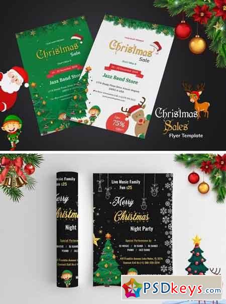 Christmas Night Party and Sales Promotion
