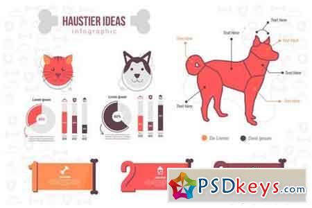 Haustier Ideas - Infographic