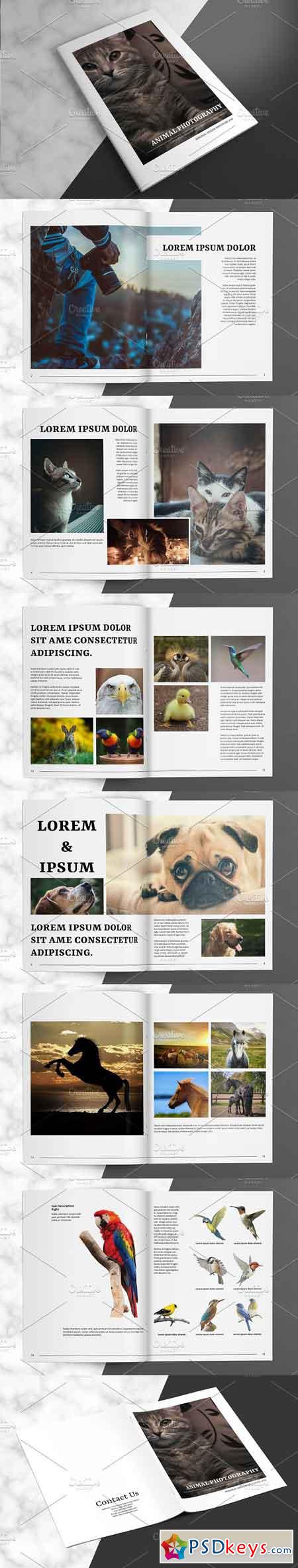 Animal Photography Brochure V827 3025271