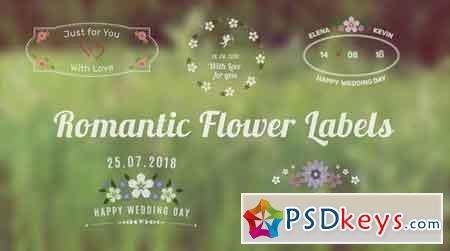 Romantic Flower Labels 84400 After Effects Projects