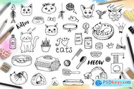 Doodle Cats and Pet Accessories