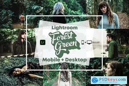 Creativemarket Forest Green - Lightroom Presets