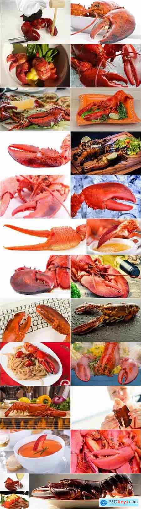 Lobster chela cancer boiled seafood 25 HQ Jpeg