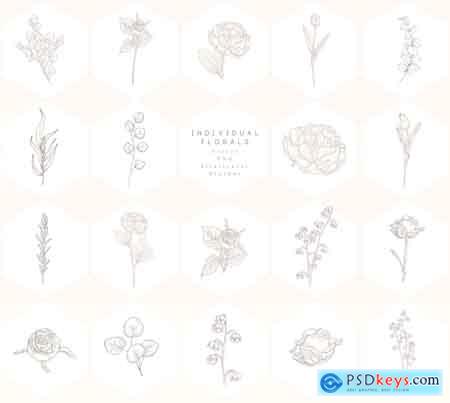 Creativemarket Floral Graphics, Logos, Patterns
