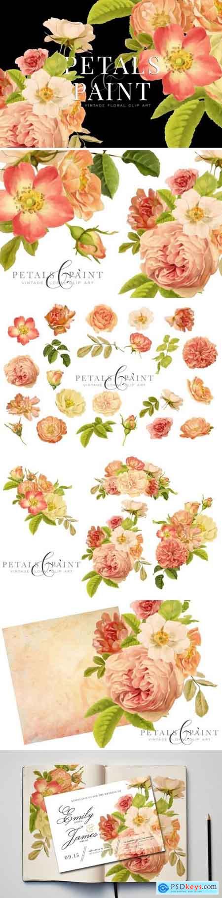 Petals & Paint - Floral Clip Art