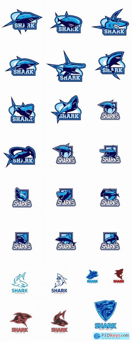 Shark business logo vector image 25 EPS