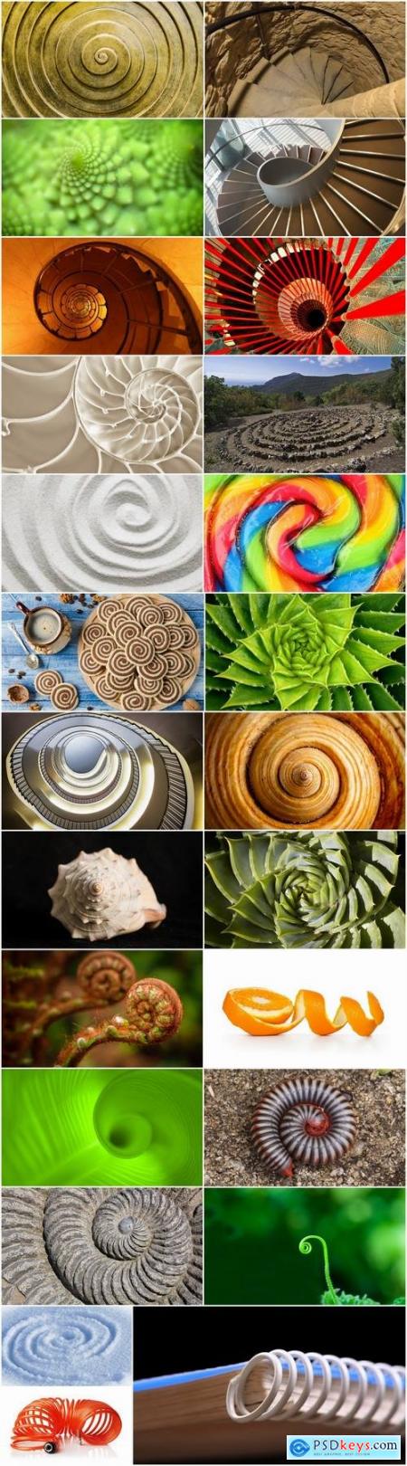 Conceptual illustration spiral staircase shell flower 25 HQ Jpeg