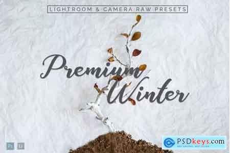 Thehungryjpeg Premium Winter Lightroom Presets