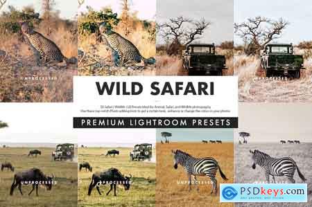 Creativemarket Wild Safari Lightroom Presets