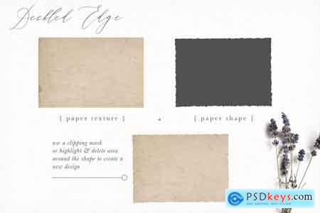 Creativemarket Deckled Edge Paper Shapes