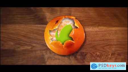 Videohive Tangerine Logo Free