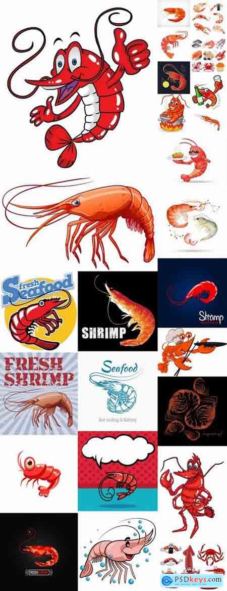Prawn shrimp seafood menu vector image 25 EPS