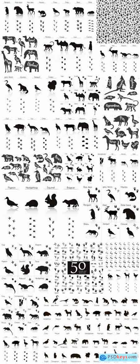 Icon animal footprint paw print vector image 25 EPS
