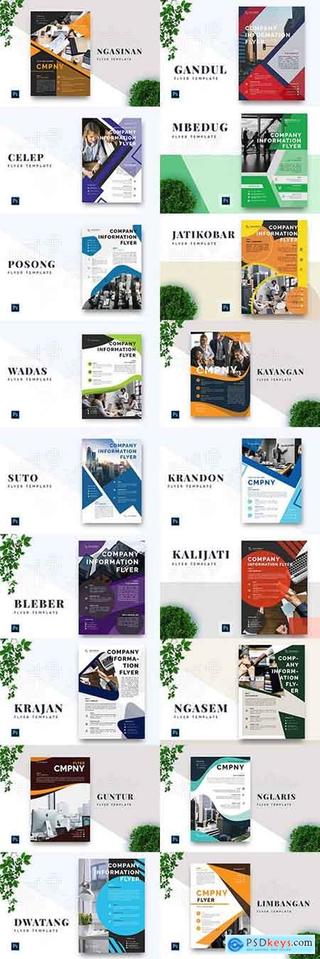 18 Professional Business Flyers