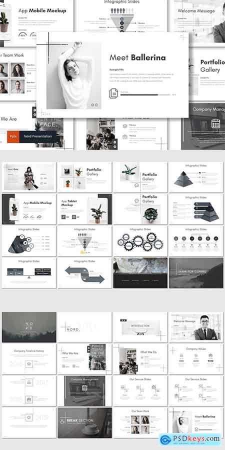 Nord - PowerPoint, Keynote and Google Slides Template