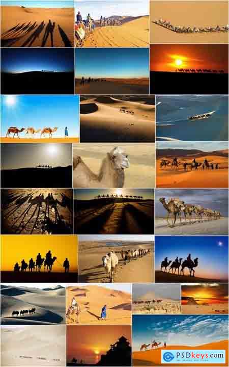 Camel caravan traveler Tuareg desert dune sand barchan 25 HQ Jpeg